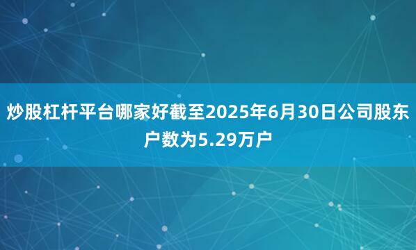 炒股杠杆平台哪家好截至2025年6月30日公司股东户数为5.29万户