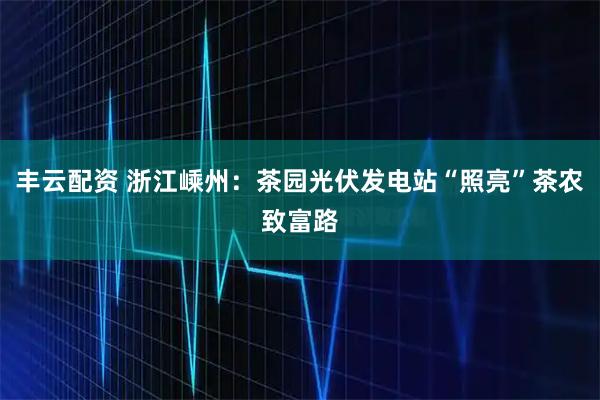 丰云配资 浙江嵊州：茶园光伏发电站“照亮”茶农致富路