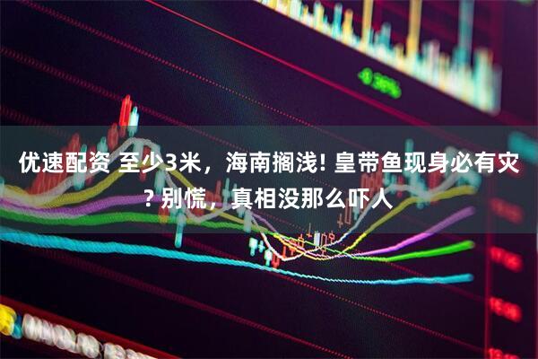 优速配资 至少3米，海南搁浅! 皇带鱼现身必有灾? 别慌，真相没那么吓人