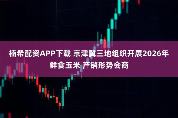 楠希配资APP下载 京津冀三地组织开展2026年鲜食玉米 产销形势会商