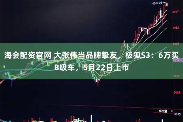 海会配资官网 大张伟当品牌挚友，极狐S3：6万买B级车，5月22日上市